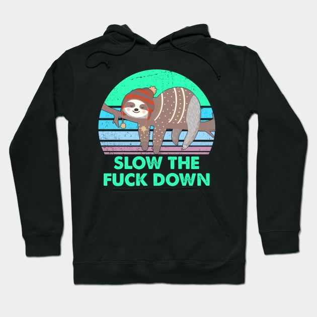 Slow the fuck down - funny sloth running team gift Hoodie by zrika